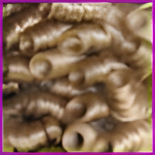 Viva Fiesta Dancers Wiglet Limited Stock image 6